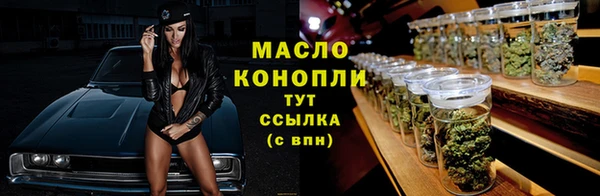 крисы Новозыбков