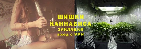 крисы Новозыбков