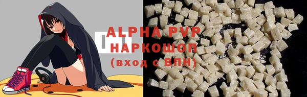 крисы Новозыбков