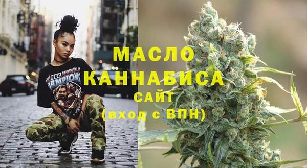 индика Няндома