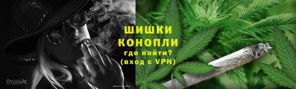 PSILOCYBIN Новодвинск