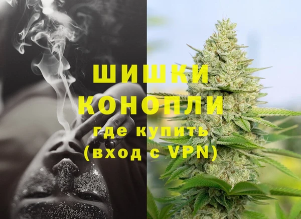 дмт Болотное