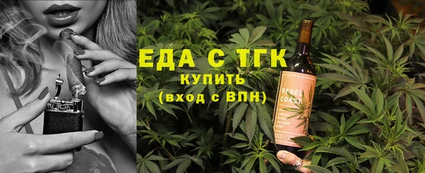 индика Няндома