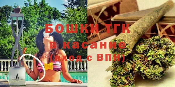 крисы Новозыбков