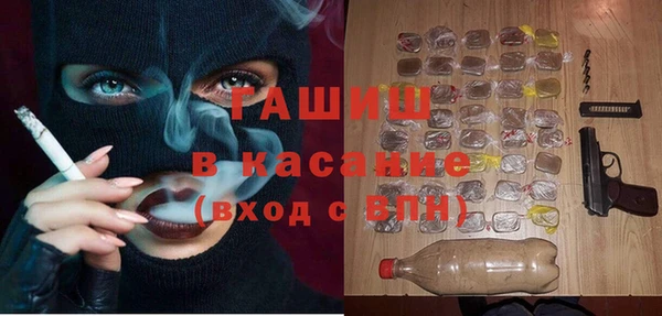дмт Болотное