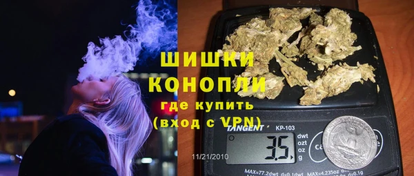 дмт Болотное