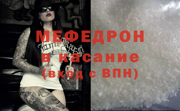 индика Няндома