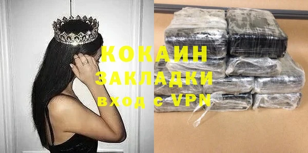 крисы Новозыбков