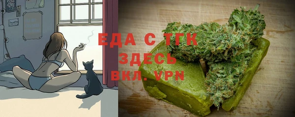 крисы Новозыбков