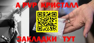 крисы Донской