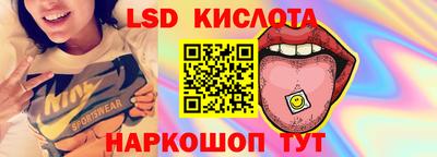 крисы Донской