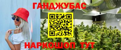 гашишное масло Берёзовский