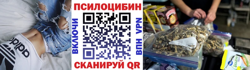 Псилоцибиновые грибы мицелий  Кунгур 