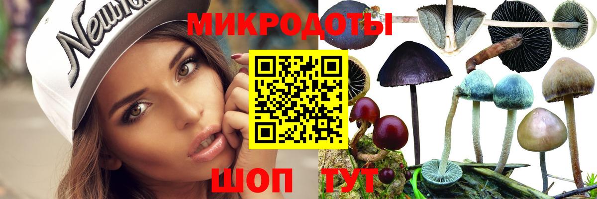 Галлюциногенные грибы Psilocybe  Вход с VPN  Псилоцибиновые грибы мухоморы  как найти наркотики  Кунгур 