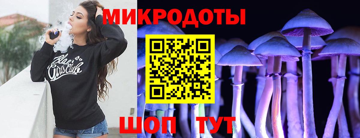 Псилоцибиновые грибы Cubensis Кунгур